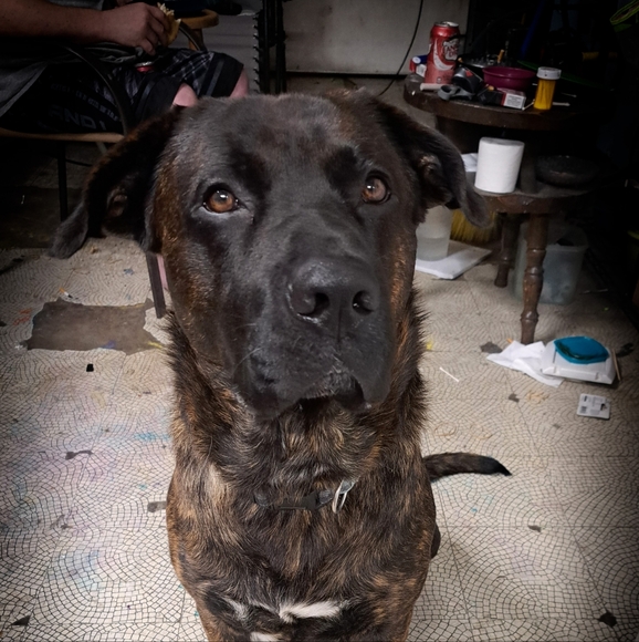 Hello, I'm Gina! - Picture 3 of 3